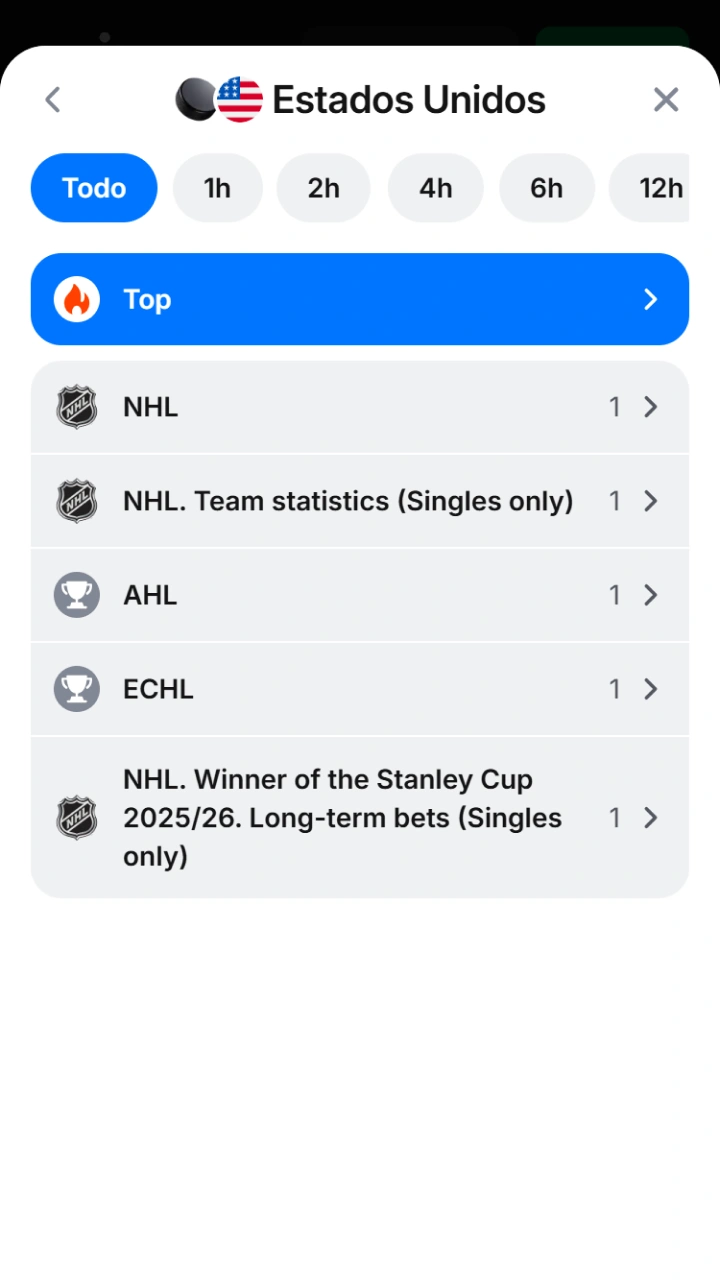 Choose your preferred hockey tournament within 1win's organized interface.