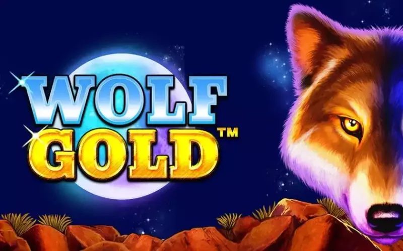 Go for big prizes under the full moon by playing the popular Wolf Gold slot at 1win casino.
